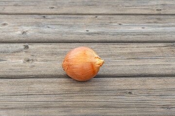One onion on the gray wooden table outdoor