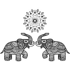 vector illustration of an elephant
