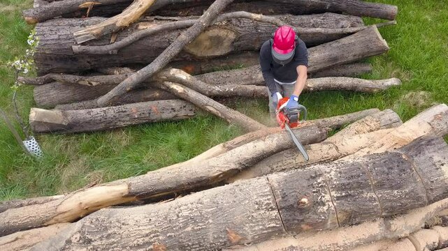 Lumberjack with a chainsaw cutting trees in the forest. Preparing firewood for winter. Top down view. Aerial view from drone
