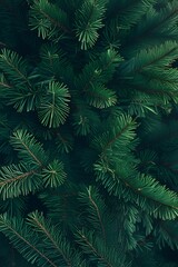 Layers of green in close-up pine foliage

