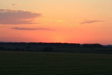 Obraz premium dawn in the fields of southern russia midsummer