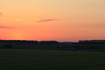 Fototapeta premium dawn in the fields of southern russia midsummer