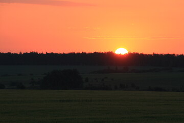 dawn in the fields of southern russia midsummer