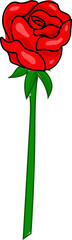 Long stem red rose cartoon red rose vector illustration