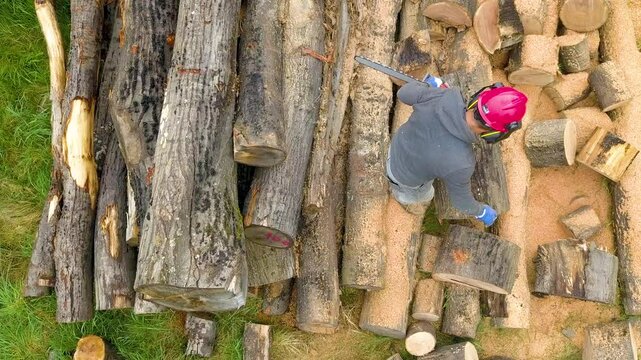 Lumberjack with a chainsaw cutting trees in the forest. Preparing firewood for winter. Top down view. Aerial view from drone
