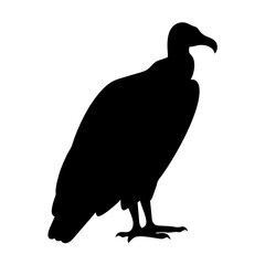 Silhouette of a large vulture standing with its head up and observant