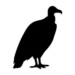 Black silhouette of a large vulture standing isolated on a white background