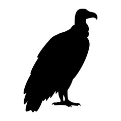 Black Silhouette of a Vulture Standing with Prominent Beak and Feathers