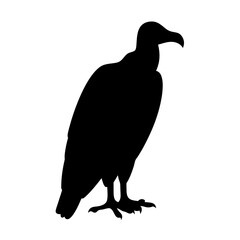 Black silhouette of a majestic vulture standing alert on a white background