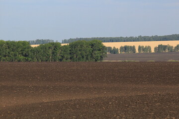plowed fields of southern Russia on a summer day