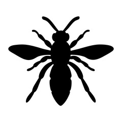 Striking silhouette of a wasp, an icon of stinging insects in black