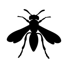 Silhouette of a wasp in black and white, isolated on white background