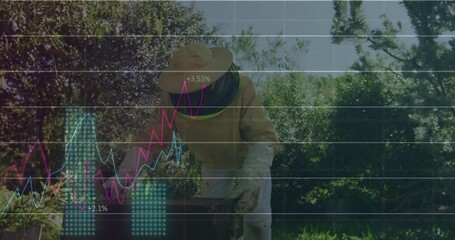 Senior beekeeper inspecting honeycomb frame, displaying financial line charts and bar graphs - Powered by Adobe