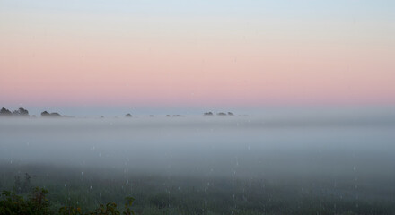 Fototapeta premium Mystical Landscape Of Foggy Meadow At Dawn With Soft Pastel Colors