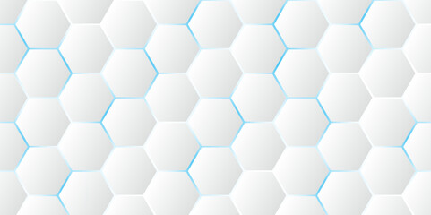 Fototapeta premium Abstract Hexagon white background, blue light and shadow. Abstract background design with white hexagon and blue light. Abstract. Hexagon. Vector.
