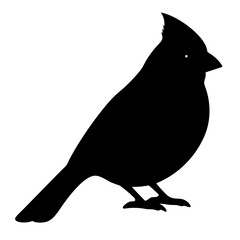 Silhouette of a Cardinal Bird with its Iconic Crest and Long Tail