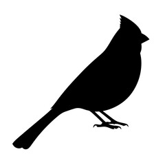 Obraz premium Silhouette of a Cardinal bird on a white background showing posture