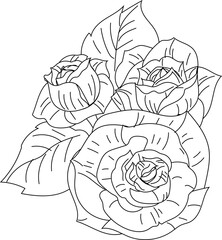 Blooming rose cluster minimalist line art rose vector illustration