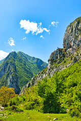 Bovilla, Albania - April 27, 2024. Attractive spring view of Bovilla Lake, Tirana city location. Majestic morning landscape of Albania, Europe. Beauty of nature concept background. Hike, breath, relax