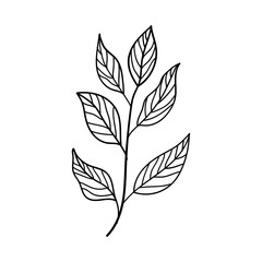 Leafy Stem. Stylized leafy stem in elegant monochrome line art, perfect for clean, modern compositions, packaging, or stationery design.
