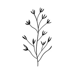 Minimal Flower Line Art. Simple floral illustration in black and white, featuring delicate buds or blossoms.