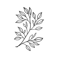 Minimal Leaf Line Drawing. Elegant black and white illustration of a single leaf stem drawn in a clean minimalist style.