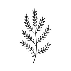 Minimal Leaf Line Drawing. Elegant black and white illustration of a single leaf stem drawn in a clean minimalist style.