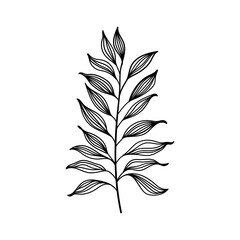 Minimal Leaf Line Drawing. Elegant black and white illustration of a single leaf stem drawn in a clean minimalist style.