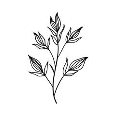 Minimal Flower Line Art. Simple floral illustration in black and white, featuring delicate buds or blossoms.