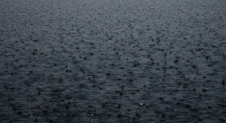 Obraz premium Heavy Rain On Dark Lake Water Surface Creating Ripples Background
