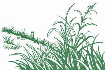 green grass background