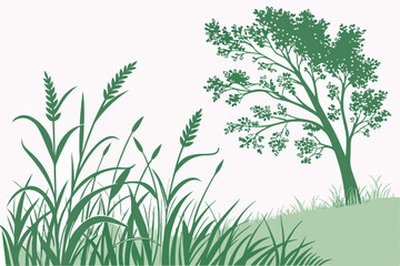 green grass isolated on white