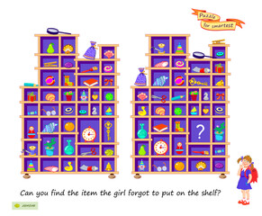 Can you find the item the girl forgot to put on the shelf? Logic puzzle for smartest. Educational game for children. Page for kids brain teaser book. Task for attentiveness. Play online. Flat vector