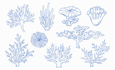 Clipart collection with hand-drawn corals in detailed outline sketch style isolated on light background for marine designs, nautical projects, packaging, fabric, stationery, coastal decor, etc.