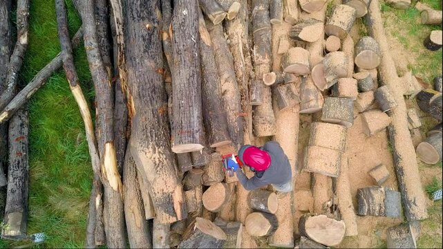 Lumberjack with a chainsaw cutting trees in the forest. Preparing firewood for winter. Top down view. Aerial view from drone
