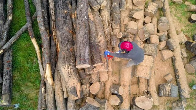 Lumberjack with a chainsaw cutting trees in the forest. Preparing firewood for winter. Top down view. Aerial view from drone
