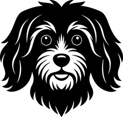 havanese head simple black silhouette, Black silhouette vector icon, silhouette illustration, Animal silhouette