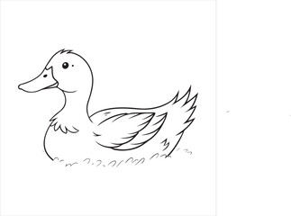 Duck Vector