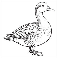 Duck Vector