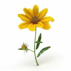 Obraz premium Vibrant yellow flower with small bud and leaves.