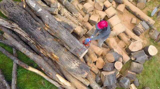 Lumberjack with a chainsaw cutting trees in the forest. Preparing firewood for winter. Top down view. Aerial view from drone
