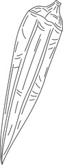Okra pod vegetable hand-drawn sketch line art vector illustration