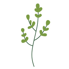 Leaf vector colorful on transparent background