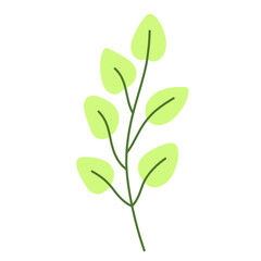 Leaf vector colorful on transparent background