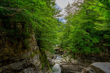 Waterfalls and the rapids in the Añisclo Canyon with forest covered rocky mountains in the Ordesa natural park. Huesca, Aragon region, Spain