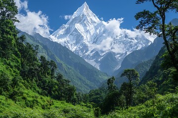 Majestic snow-capped peak rises above lush green valley