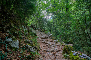 Trail that runs through the Añisclo Canyon, surrounded by forests, mountains, and rivers. An ideal area for hiking and enjoying nature. In Ordesa National Park, Aragon, Spain.