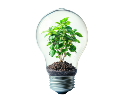 Growing sustainability plant inside a light bulb urban environment concept isolated on transparent background - Powered by Adobe