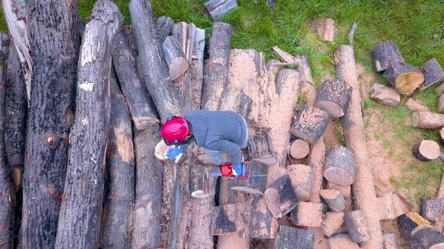 Lumberjack with a chainsaw cutting trees in the forest. Preparing firewood for winter. Top down view. Aerial view from drone
