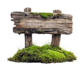 Rustic wooden signpost surrounded by green moss in nature environment isolated on transparent background